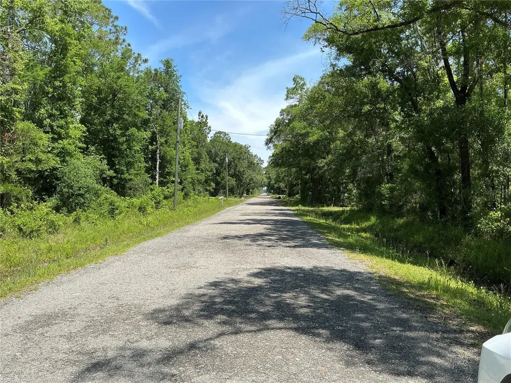 10135 MCMAHON AVENUE Hastings, FL 32145