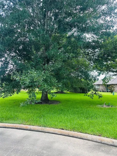 Carey Drive