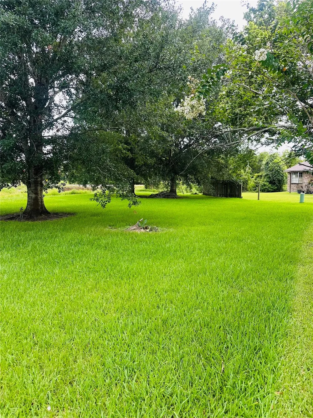 Carey Drive Angleton, TX 77515