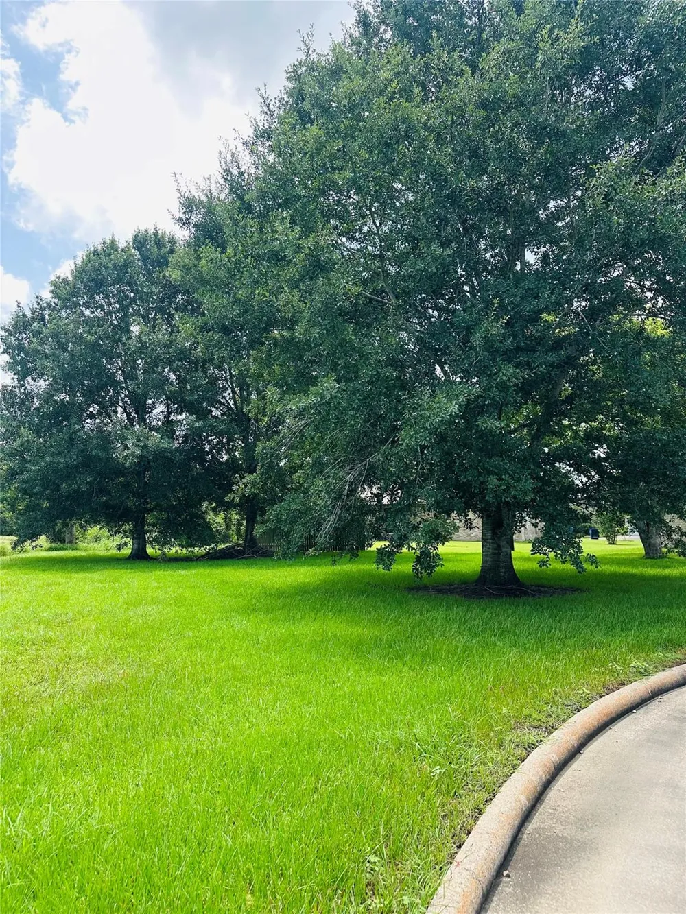 Carey Drive Angleton, TX 77515