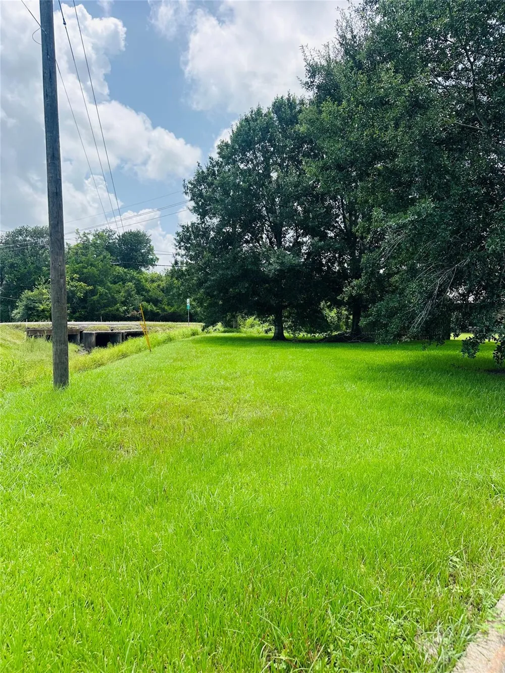 Carey Drive Angleton, TX 77515