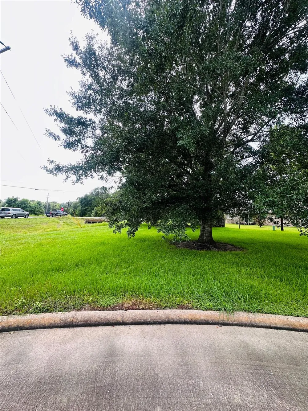 Carey Drive Angleton, TX 77515