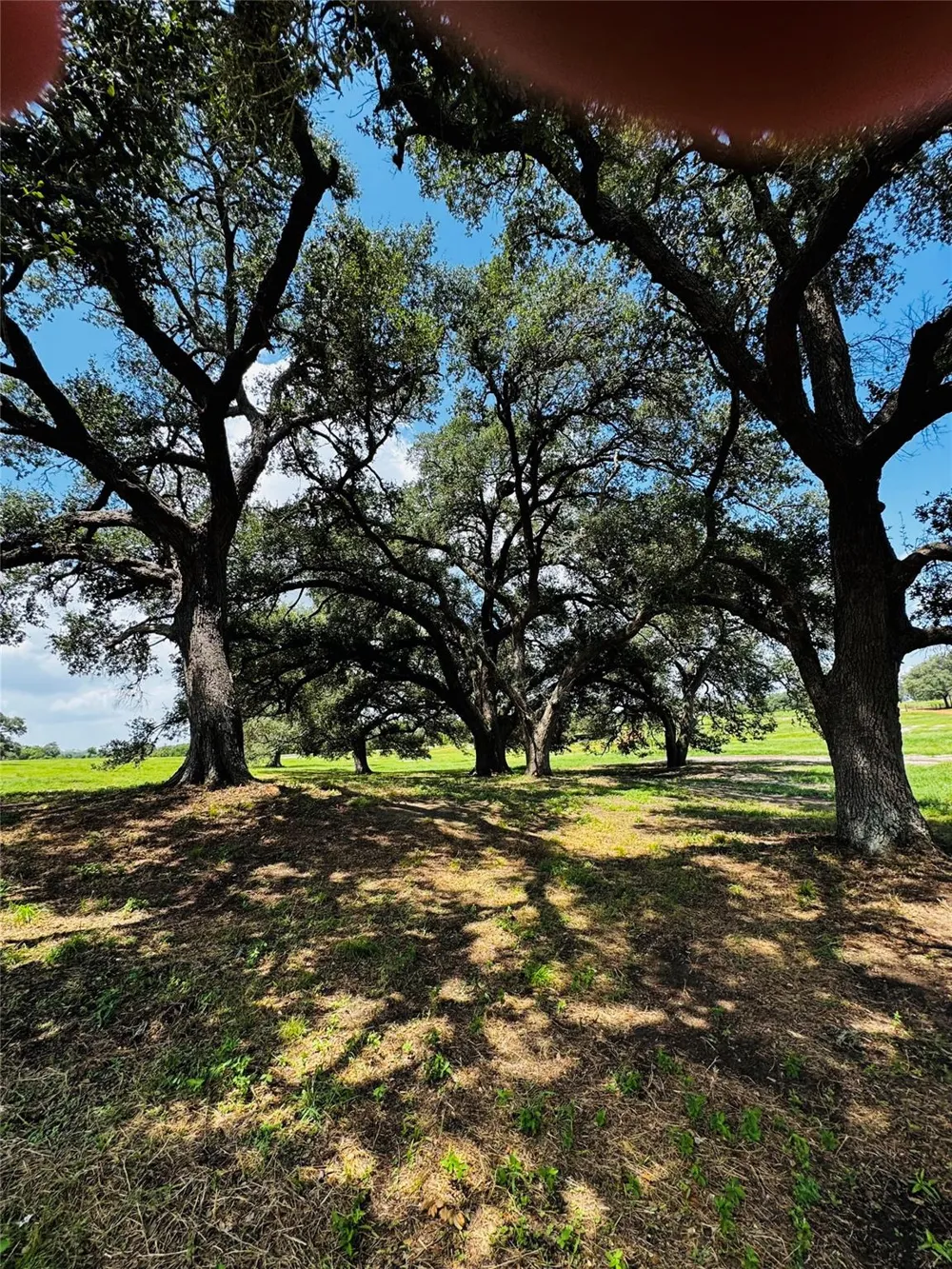 401 Knezek Road Flatonia, TX 78941