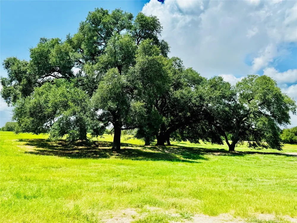 401 Knezek Road Flatonia, TX 78941