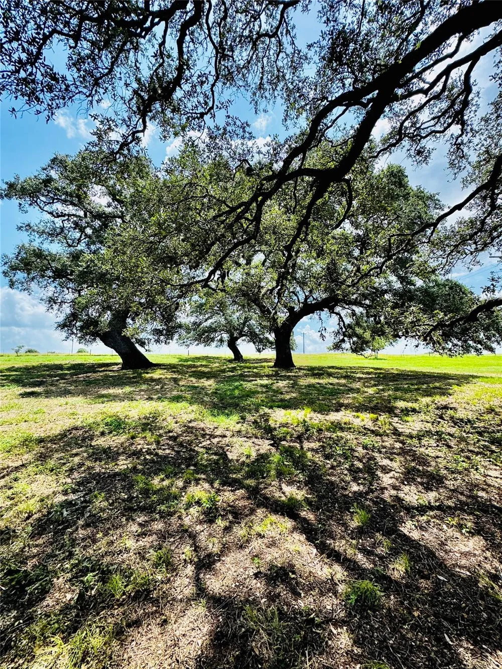 401 Knezek Road Flatonia, TX 78941
