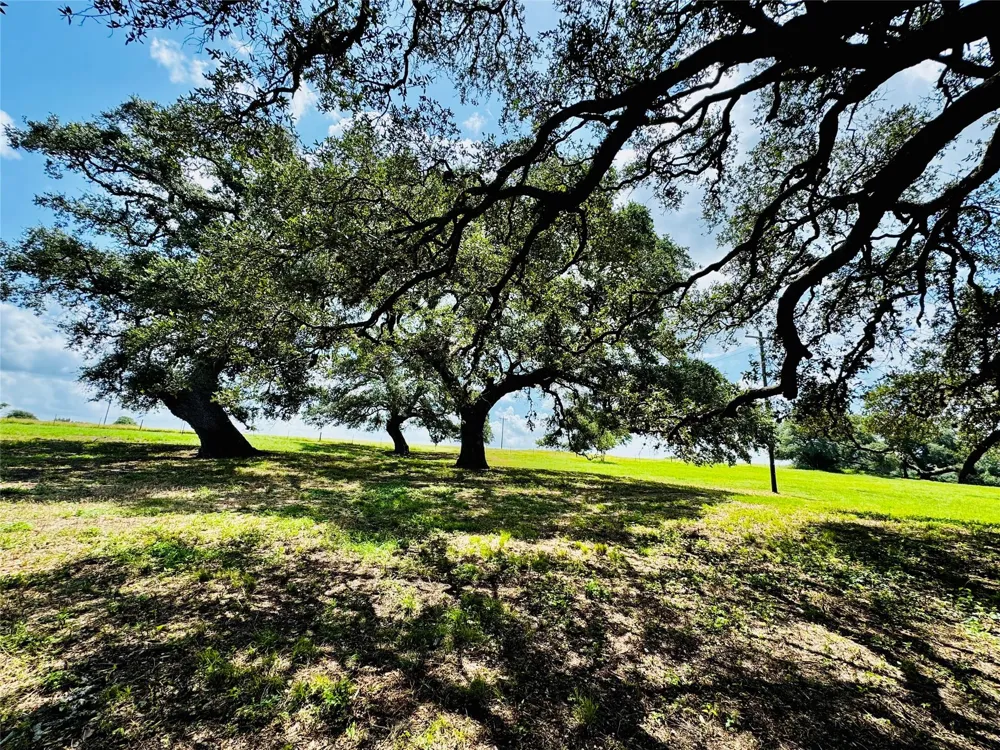 401 Knezek Road Flatonia, TX 78941