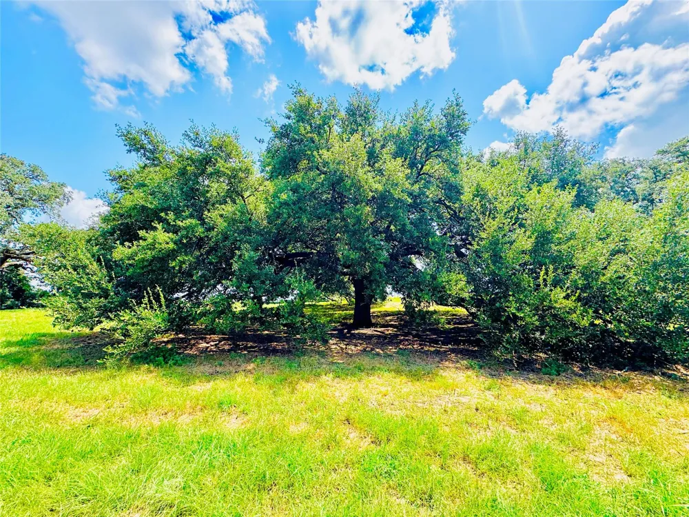 401 Knezek Road Flatonia, TX 78941