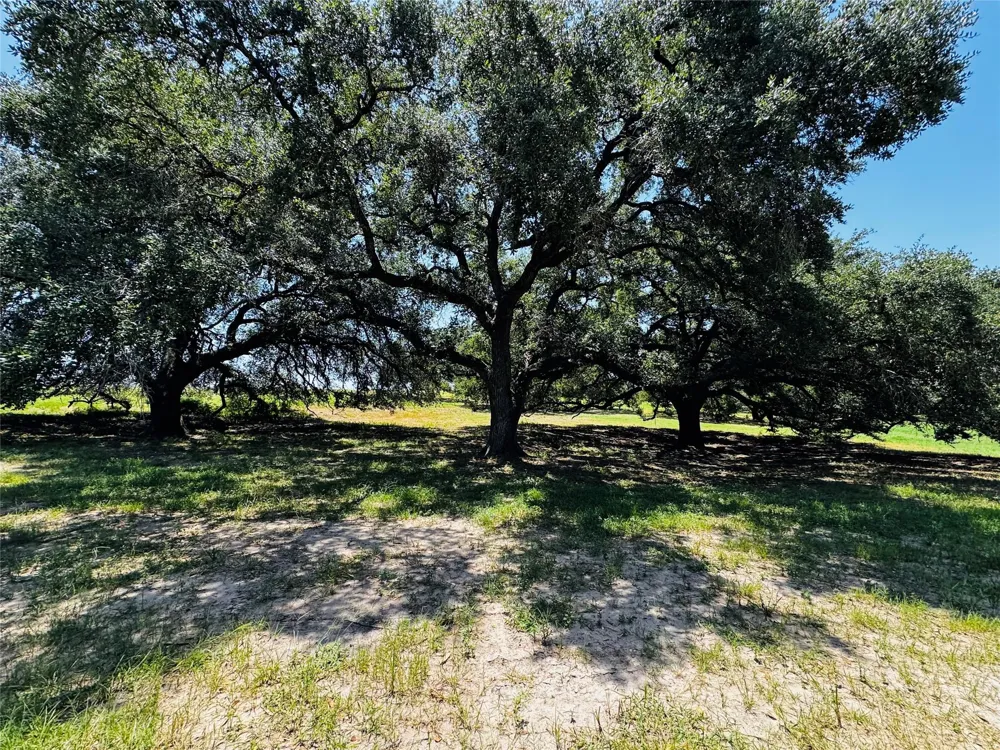401 Knezek Road Flatonia, TX 78941