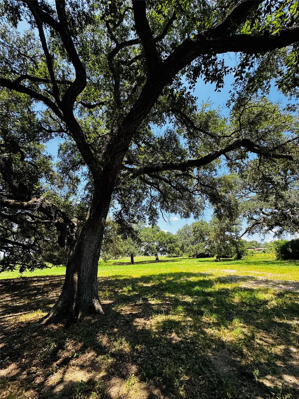 401 Knezek Road Flatonia, TX 78941