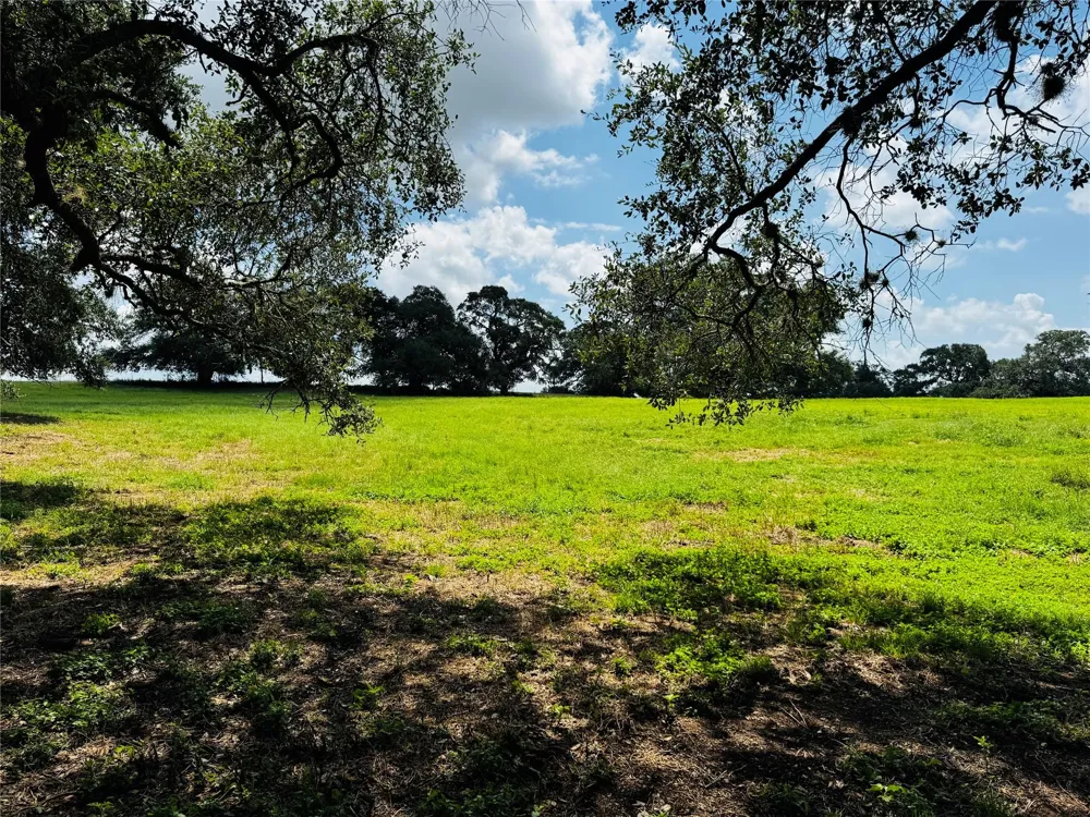 401 Knezek Road Flatonia, TX 78941