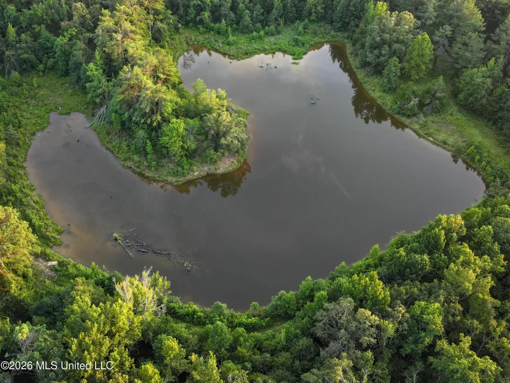 Highway 7 Water Valley, MS 38965