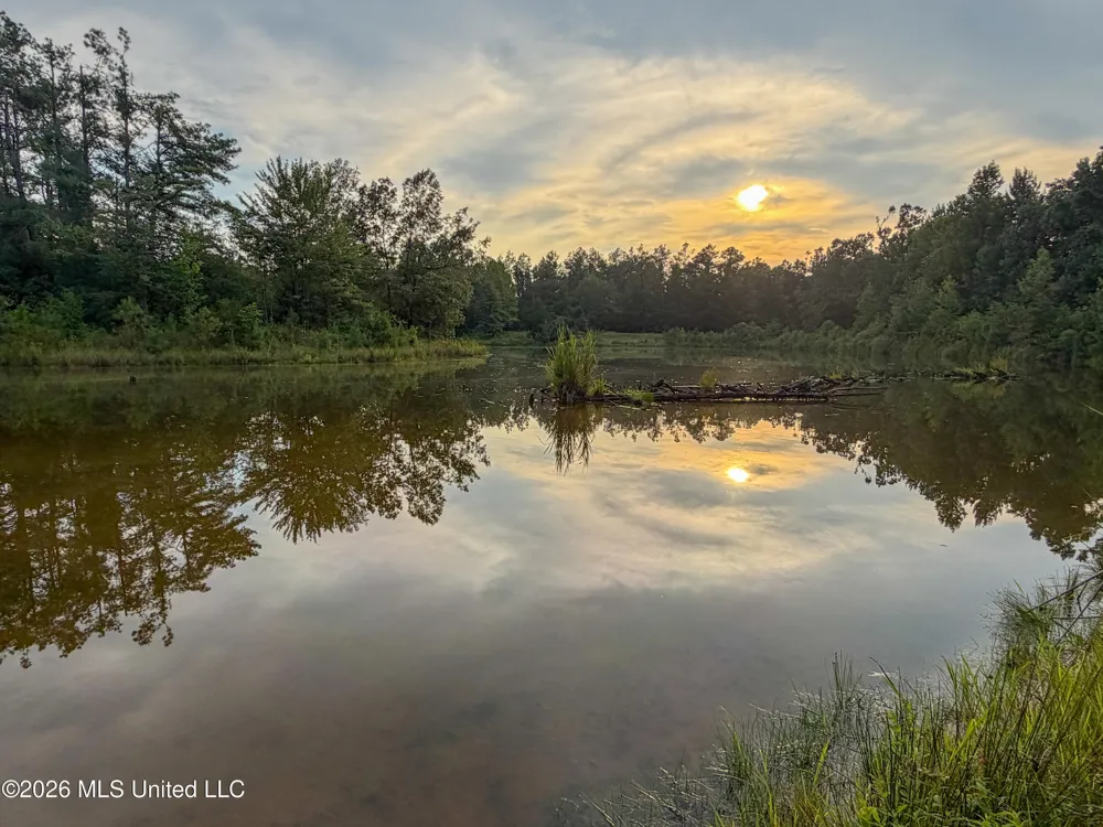 Highway 7 Water Valley, MS 38965