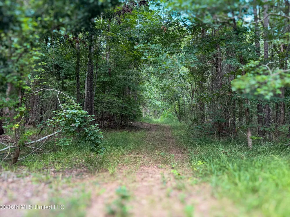Highway 7 Water Valley, MS 38965