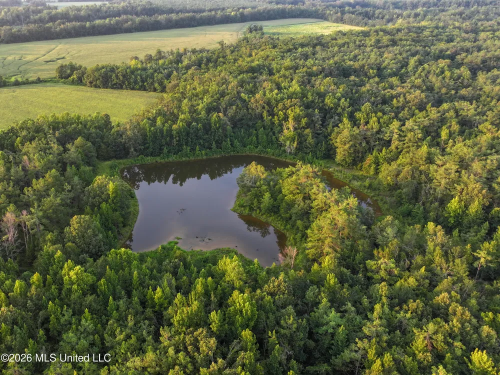 Highway 7 Water Valley, MS 38965