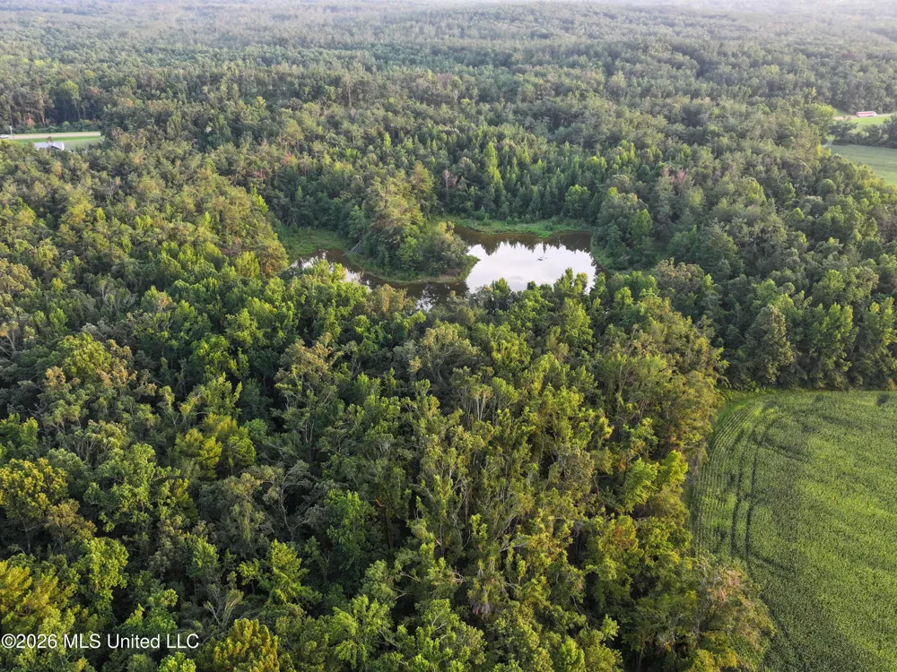 Highway 7 Water Valley, MS 38965