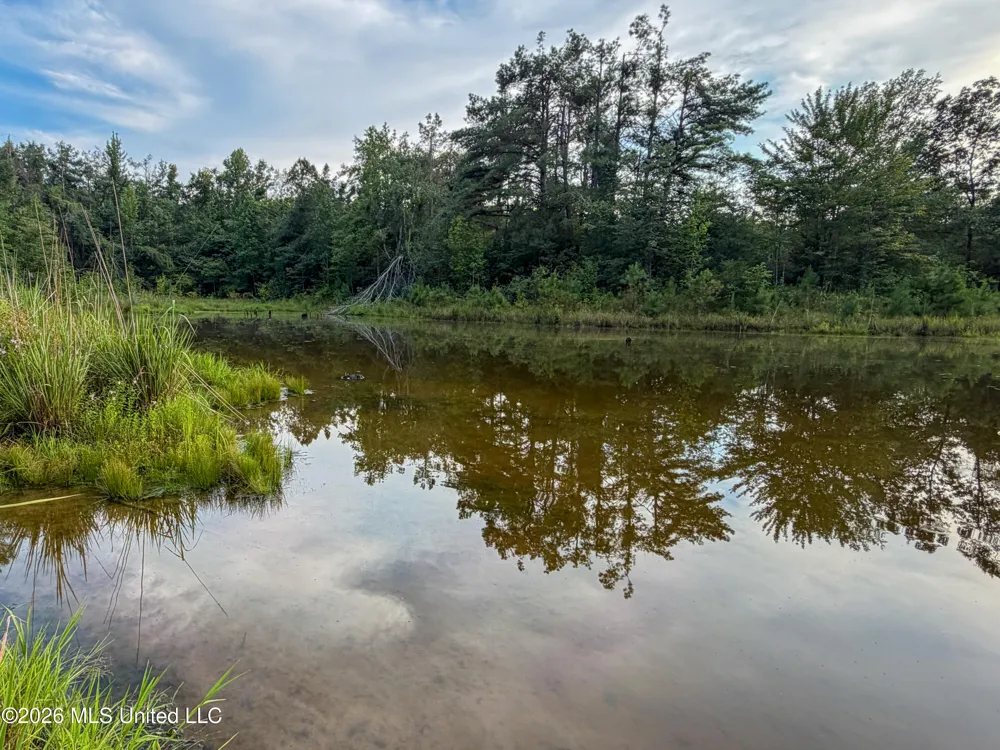Highway 7 Water Valley, MS 38965