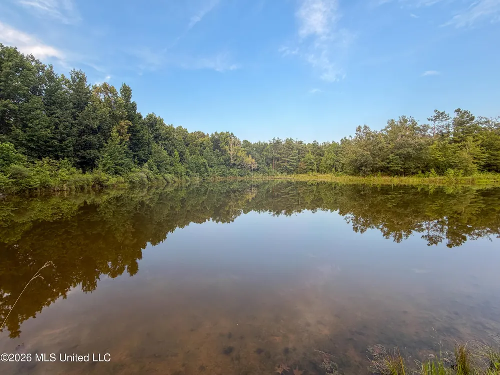 Highway 7 Water Valley, MS 38965