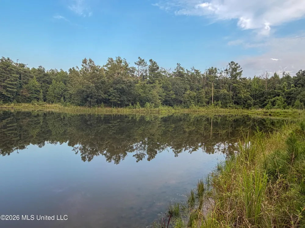 Highway 7 Water Valley, MS 38965