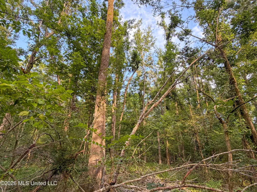 Highway 7 Water Valley, MS 38965