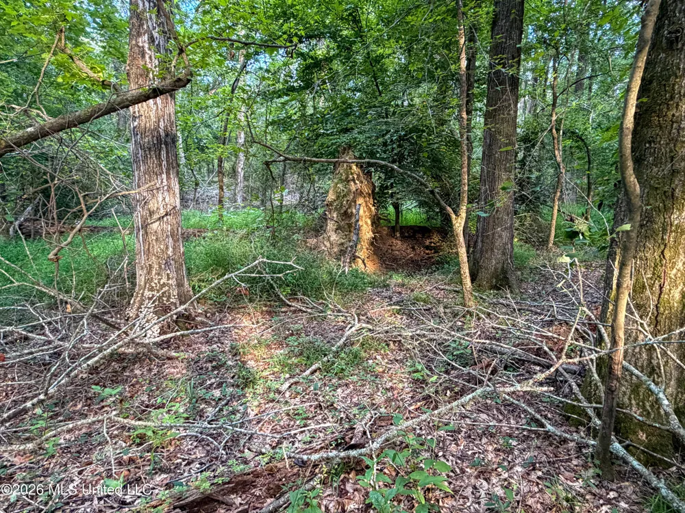 Highway 7 Water Valley, MS 38965