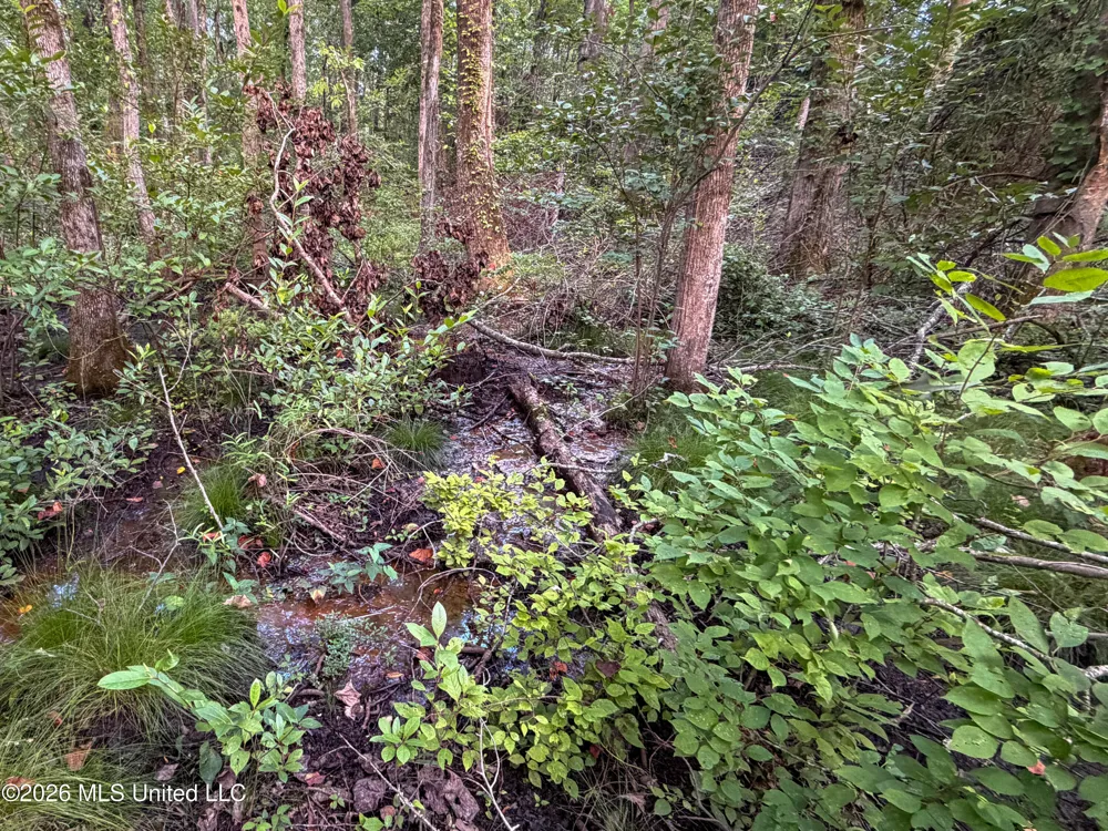 Highway 7 Water Valley, MS 38965