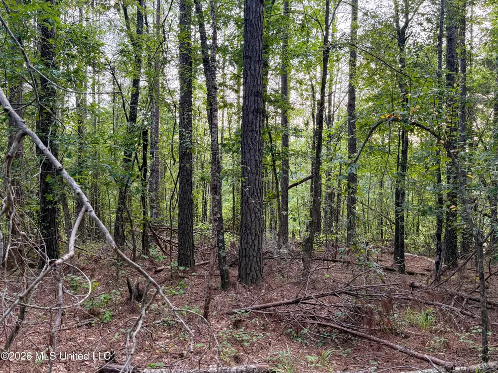 Highway 7 Water Valley, MS 38965