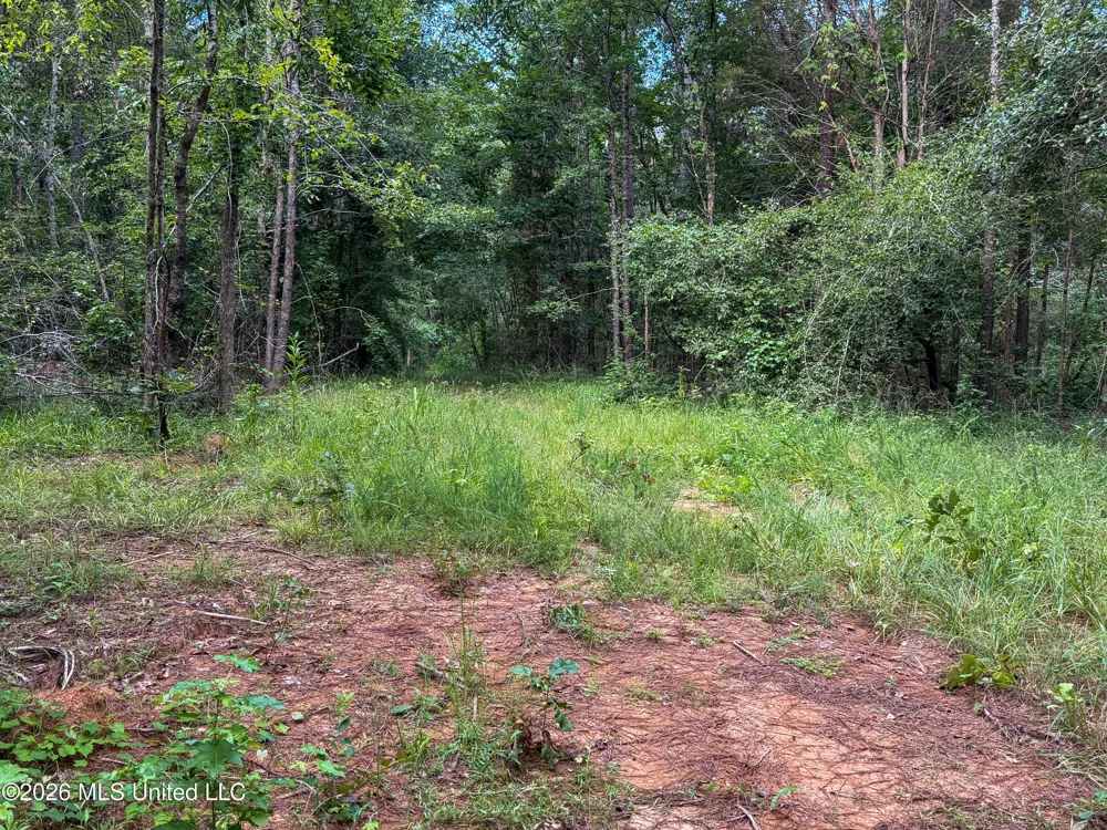 Highway 7 Water Valley, MS 38965