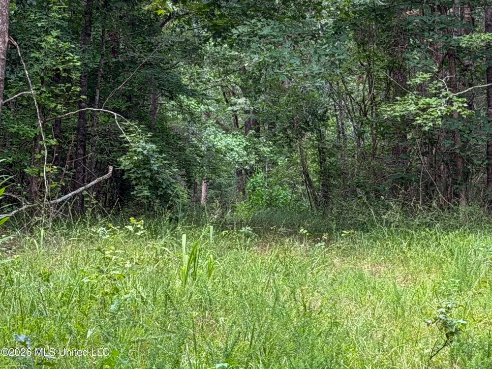 Highway 7 Water Valley, MS 38965