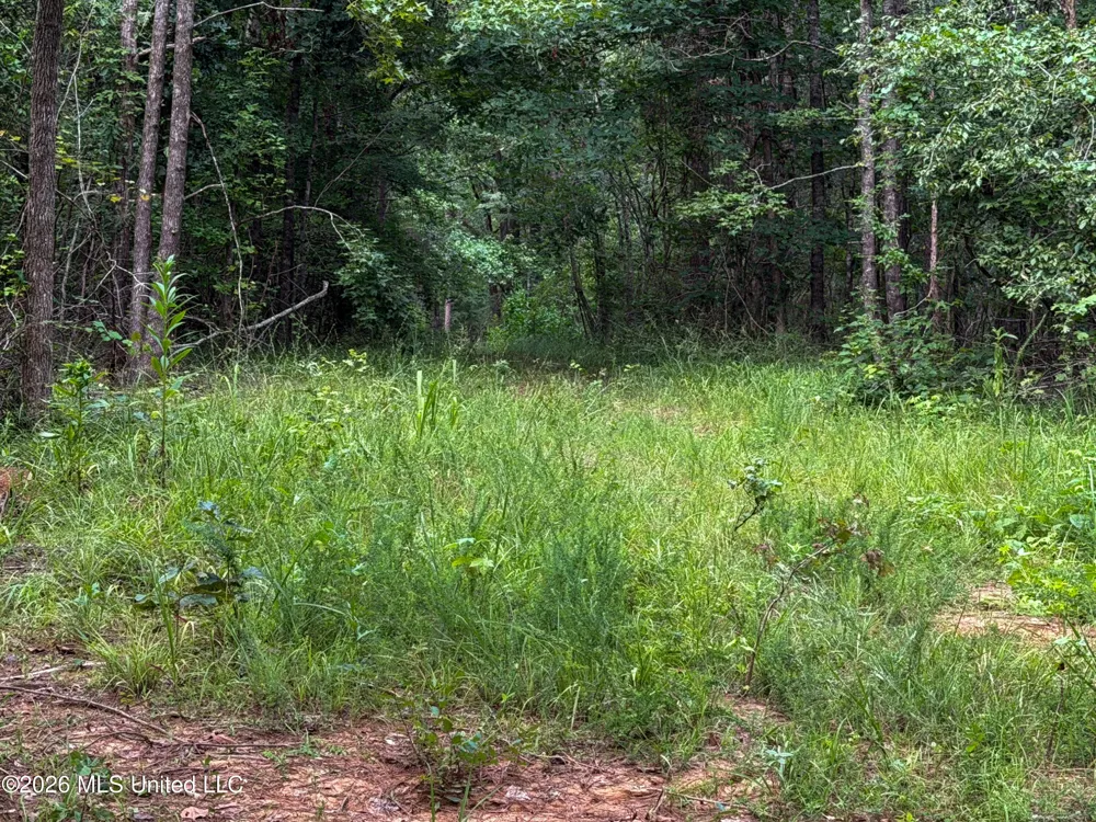 Highway 7 Water Valley, MS 38965