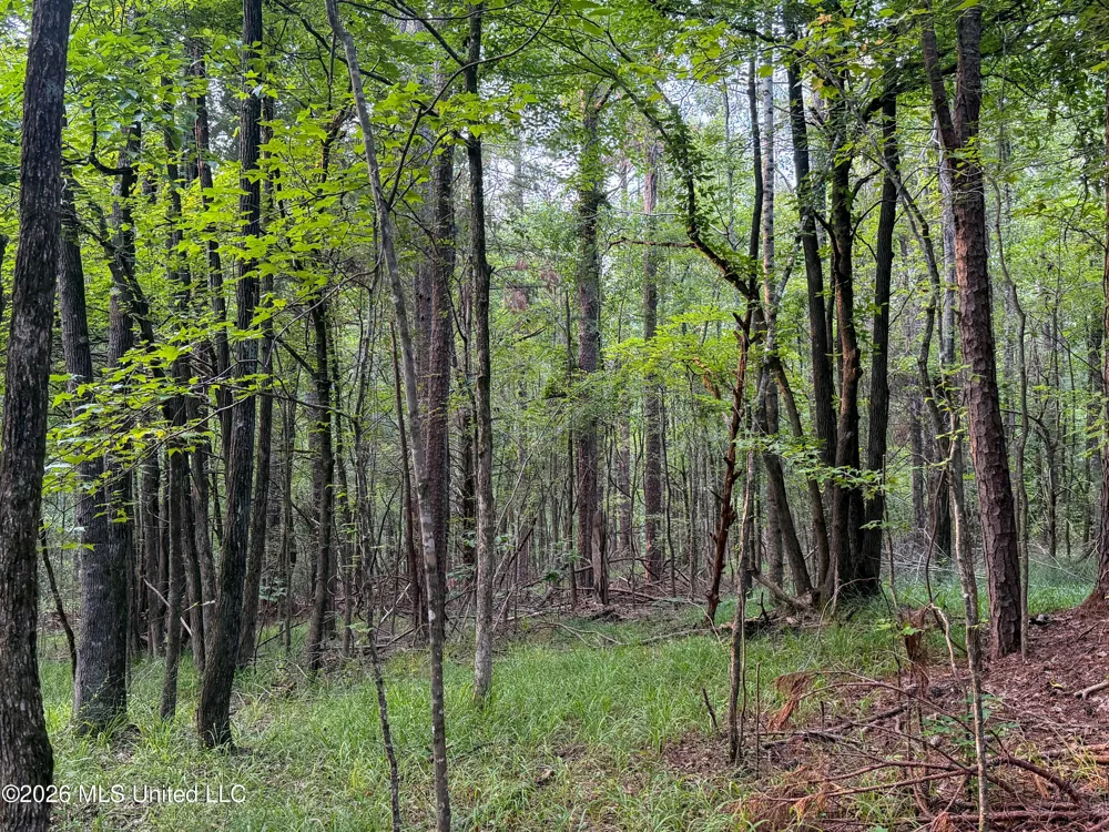 Highway 7 Water Valley, MS 38965