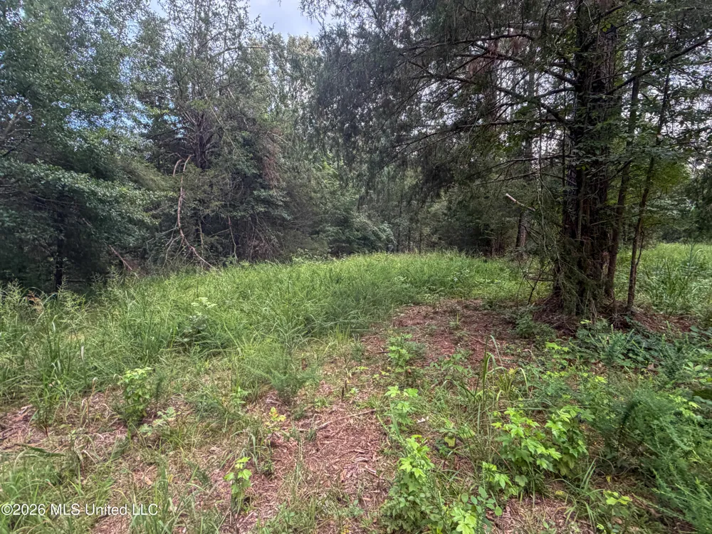 Highway 7 Water Valley, MS 38965