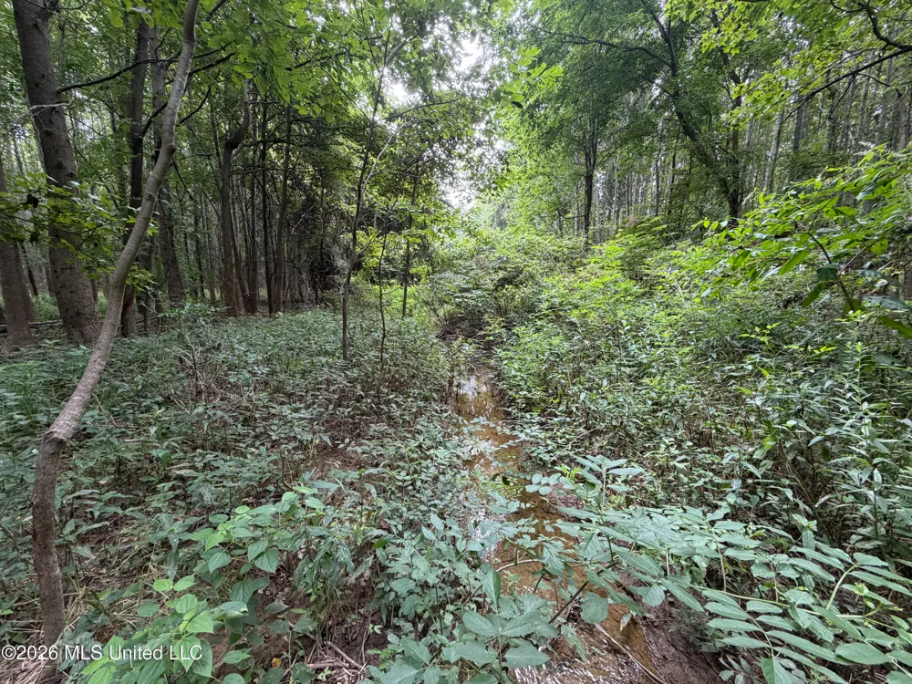 Highway 7 Water Valley, MS 38965