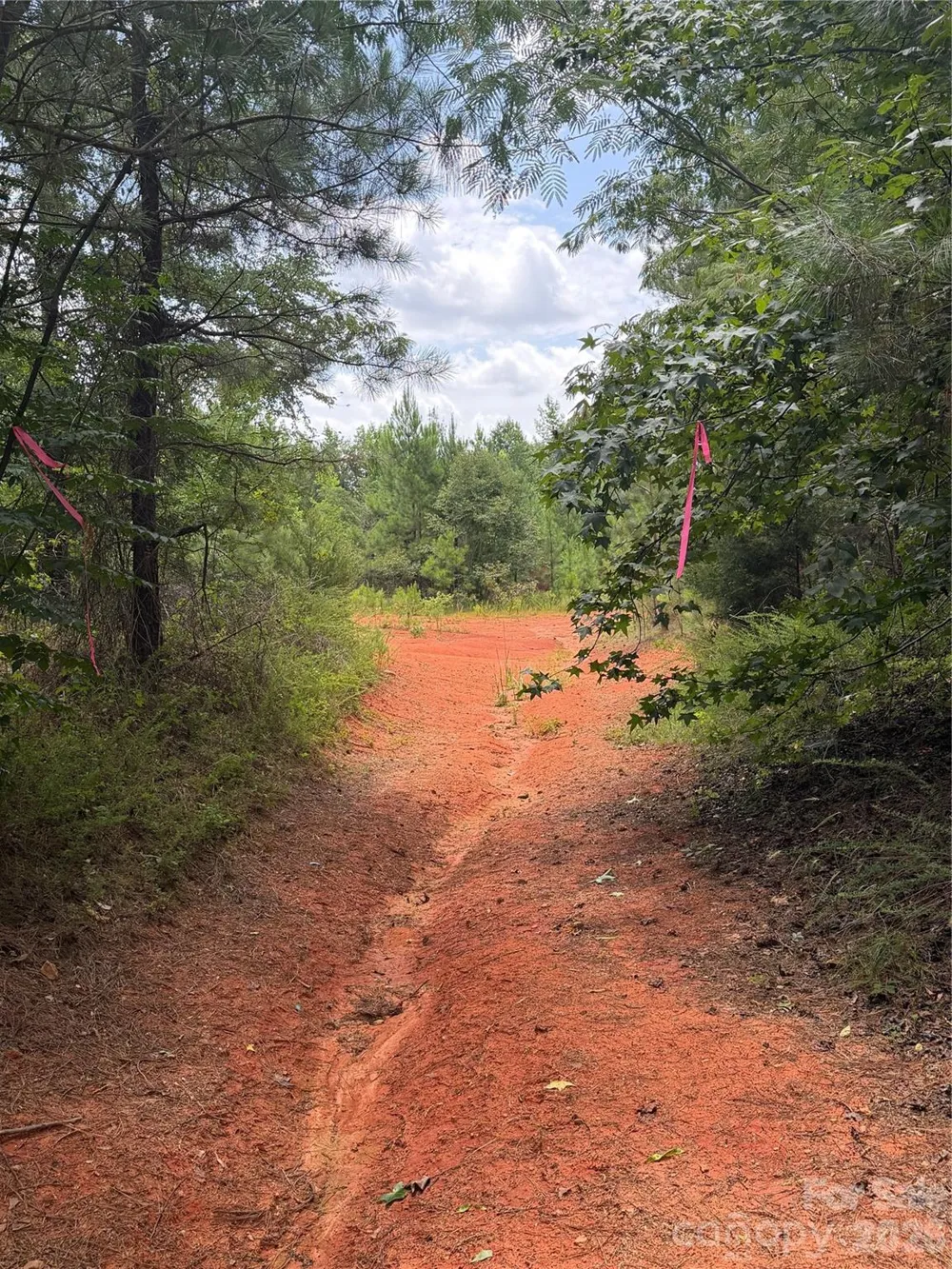 TBD Sam Walker Road Catawba, SC 29704