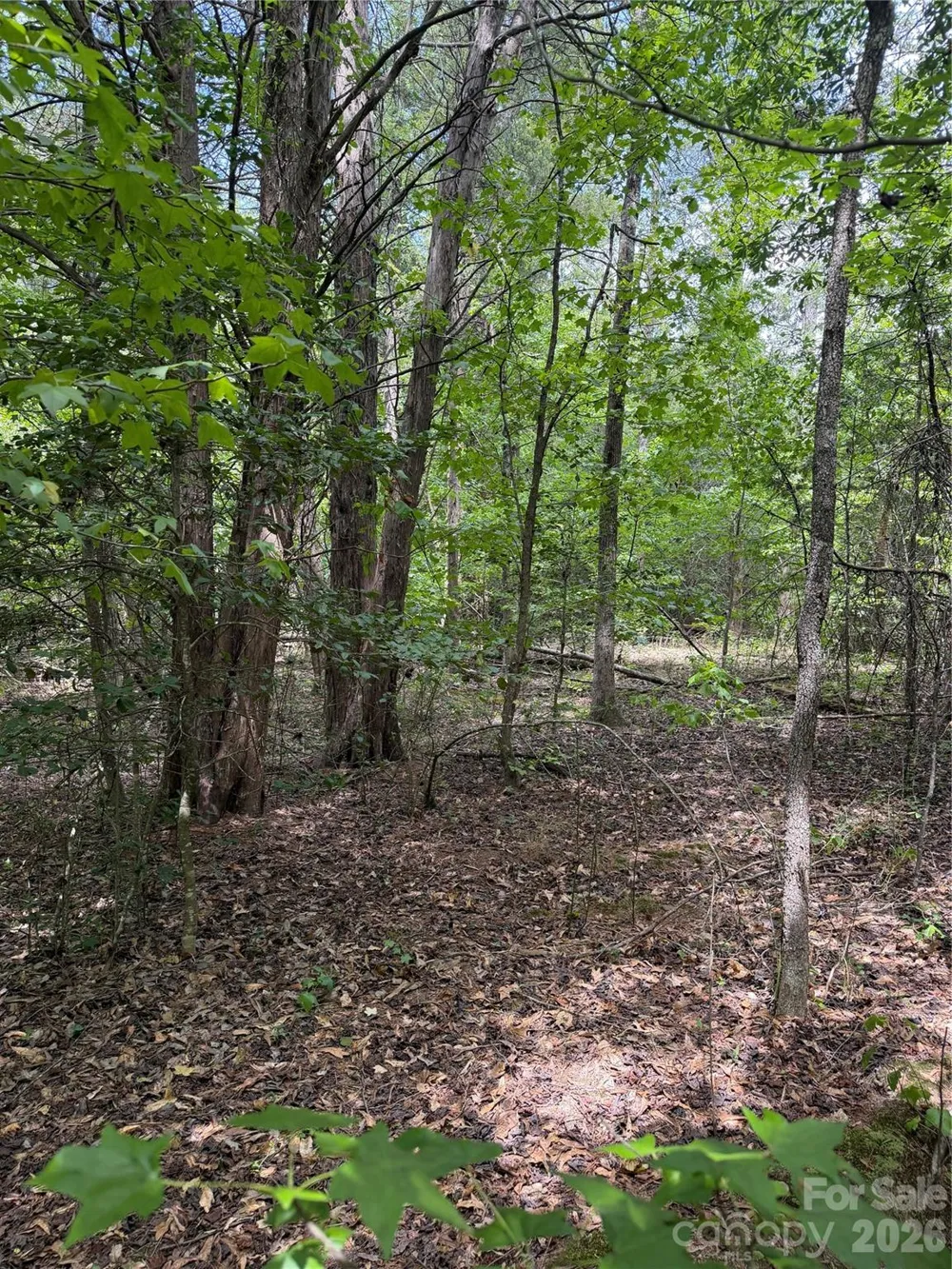 TBD Sam Walker Road Catawba, SC 29704