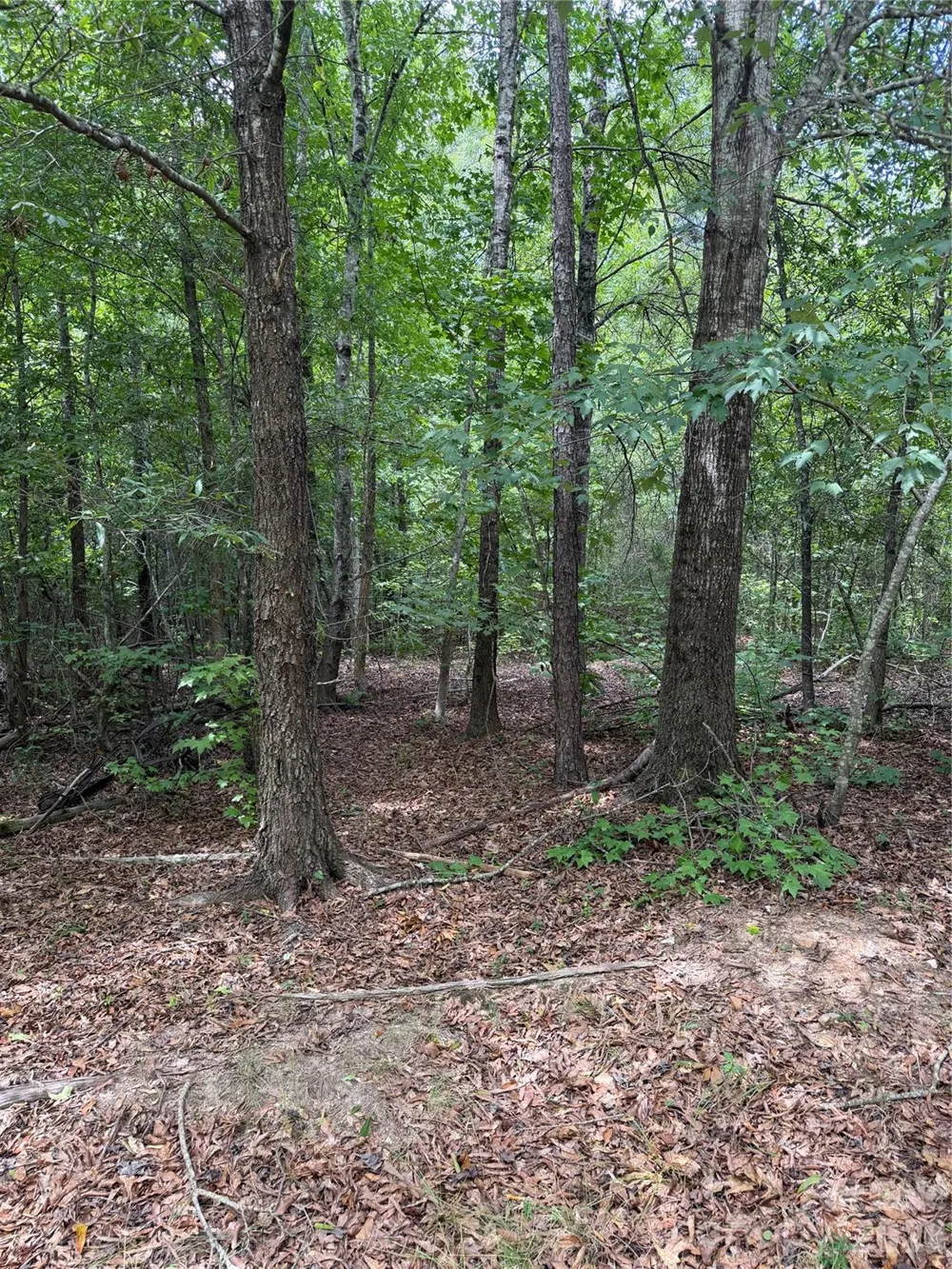 TBD Sam Walker Road Catawba, SC 29704