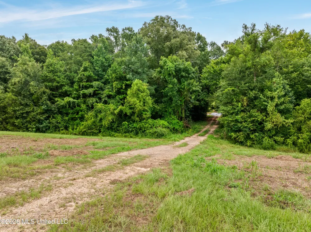 0 E Of Hwy 45 Waynesboro, MS 39367