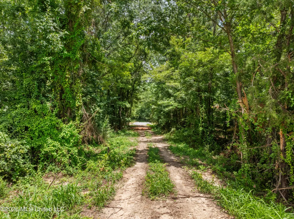 0 E Of Hwy 45 Waynesboro, MS 39367
