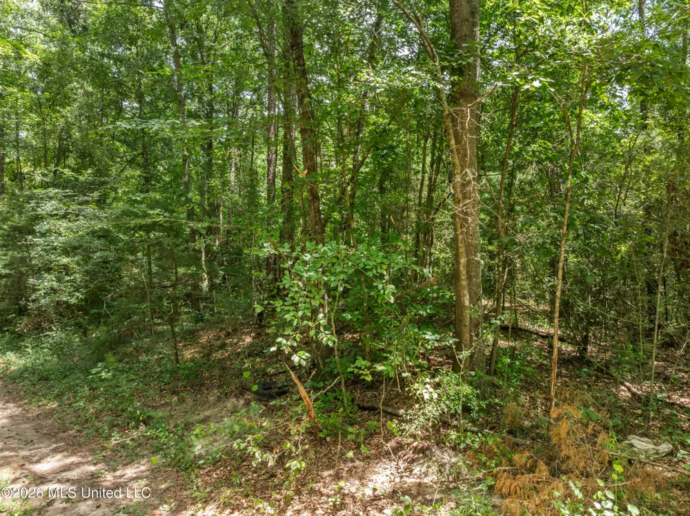 0 E Of Hwy 45 Waynesboro, MS 39367