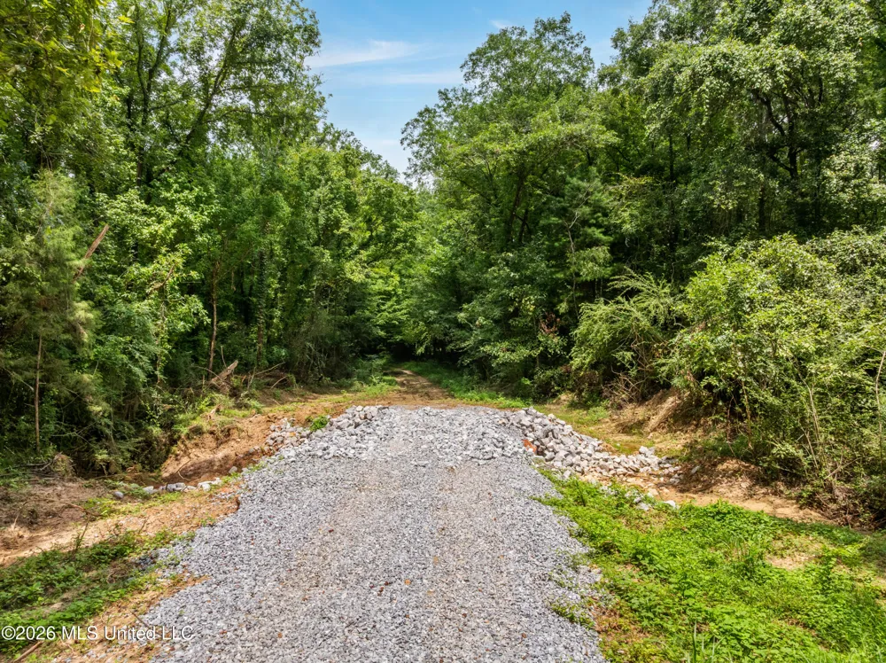 0 E Of Hwy 45 Waynesboro, MS 39367