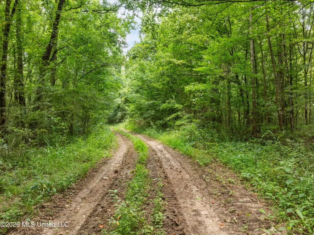 0 E Of Hwy 45 Waynesboro, MS 39367
