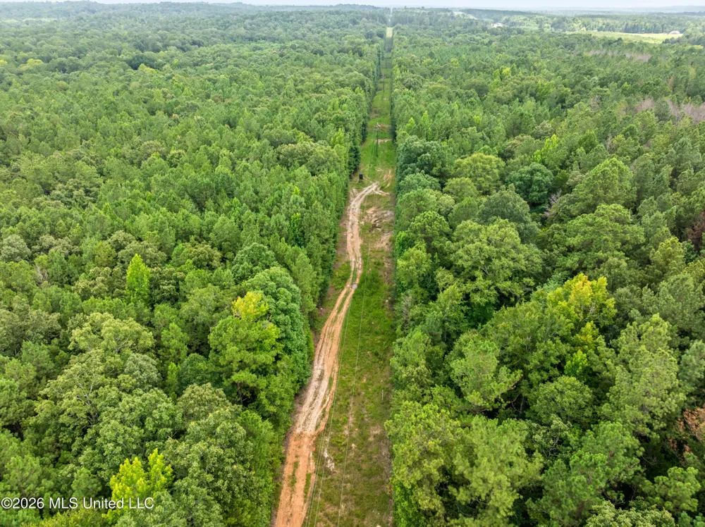 0 E Of Hwy 45 Waynesboro, MS 39367
