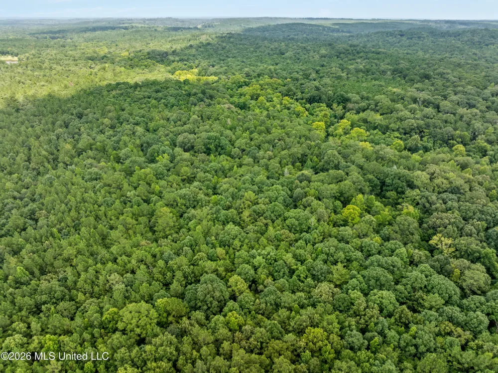 0 E Of Hwy 45 Waynesboro, MS 39367