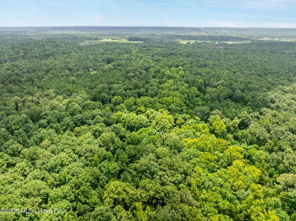 0 E Of Hwy 45 Waynesboro, MS 39367