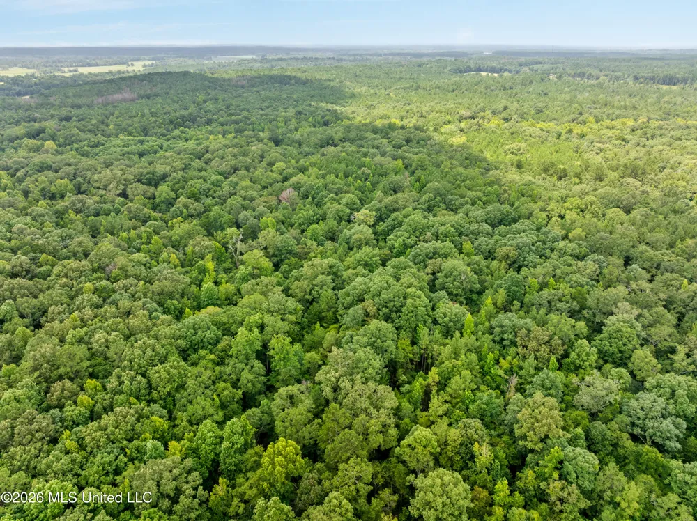 0 E Of Hwy 45 Waynesboro, MS 39367