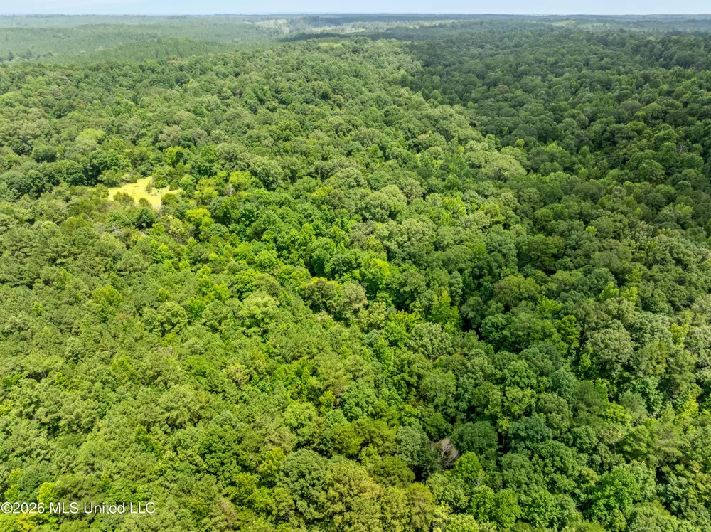 0 E Of Hwy 45 Waynesboro, MS 39367