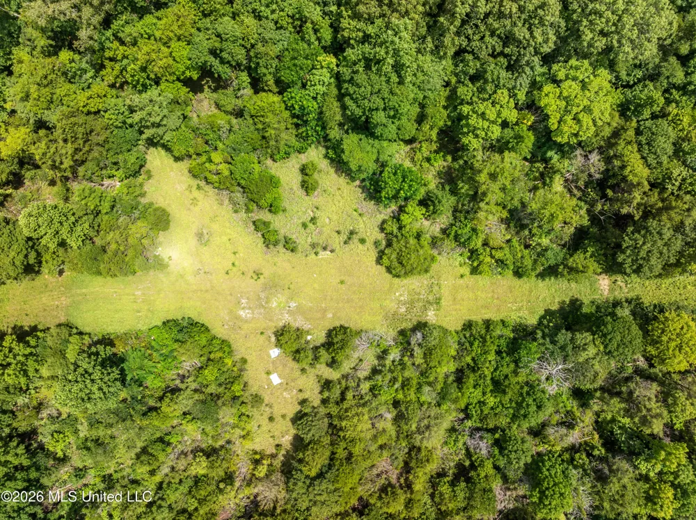 0 E Of Hwy 45 Waynesboro, MS 39367