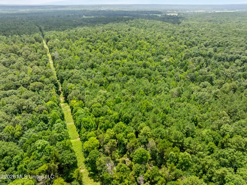 0 E Of Hwy 45 Waynesboro, MS 39367