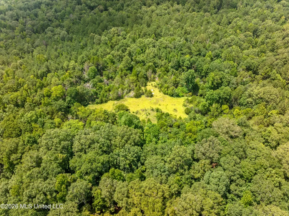 0 E Of Hwy 45 Waynesboro, MS 39367
