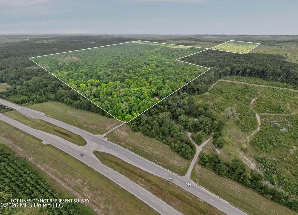0 E Of Hwy 45 Waynesboro, MS 39367