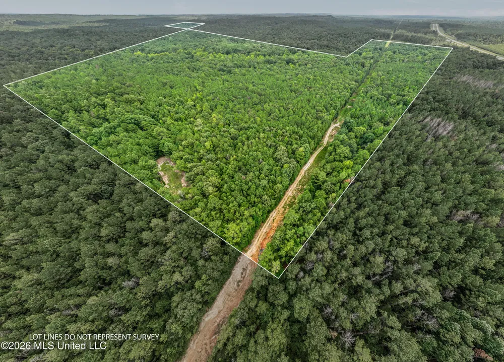 0 E Of Hwy 45 Waynesboro, MS 39367